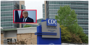 Order esl critical essay on donald trump 04 image