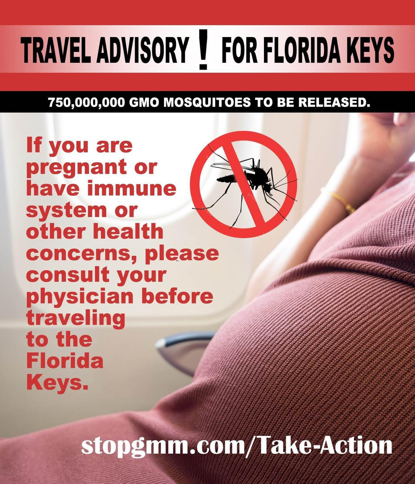 Travel Advisory for Florida Keys! SOTN Alternative News, Analysis