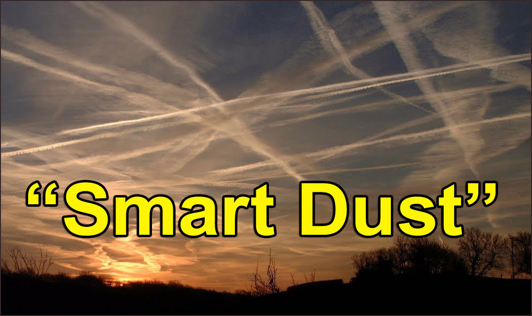 Smart Dust Market Market Size 430.5 Million in 2020 SOTN